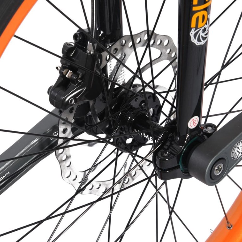Nimbus Oracle 24″