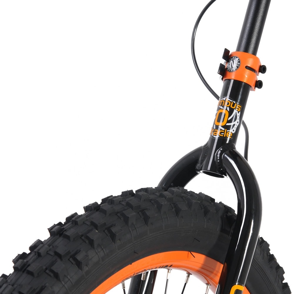 Nimbus Oracle 24″
