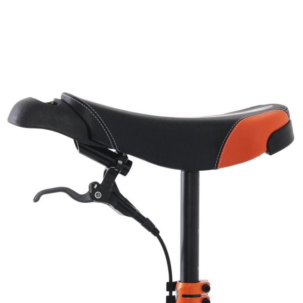 Nimbus Oracle 24″