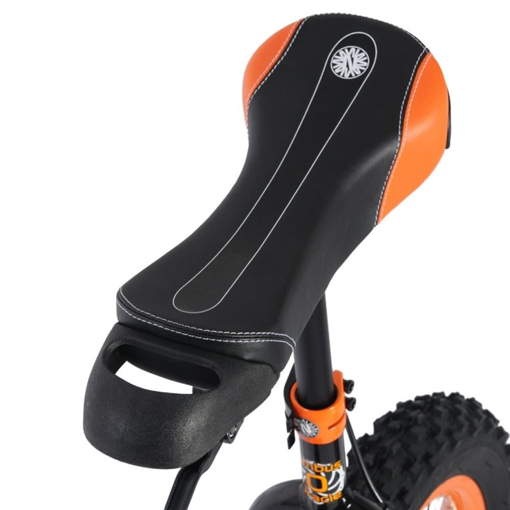 Nimbus Oracle 24″